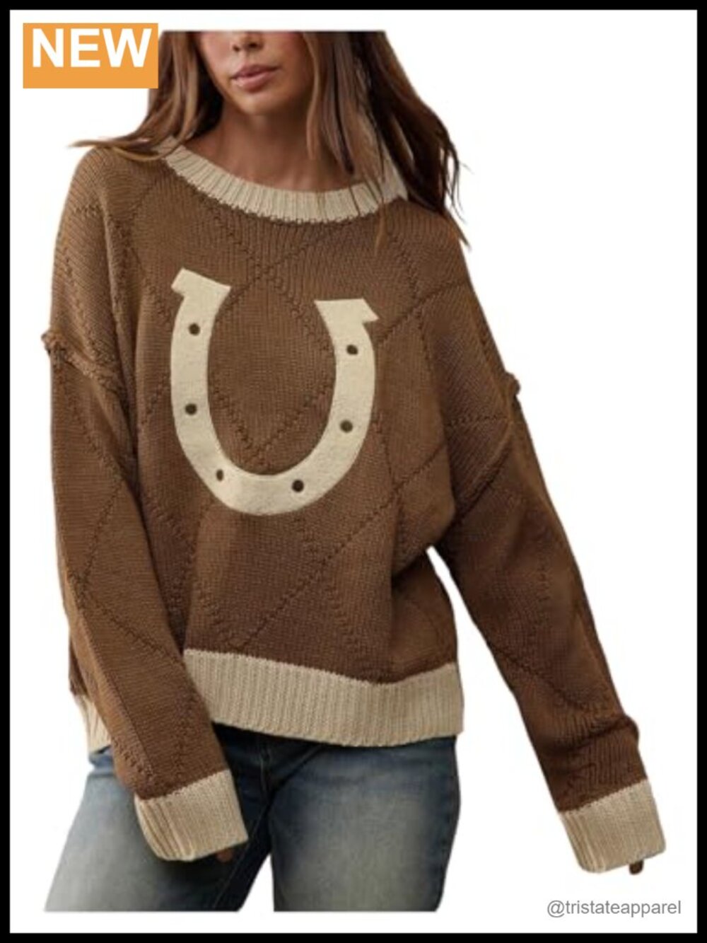 Vintage Western Horseshoe Graphic Acrylic Pullover Sweater